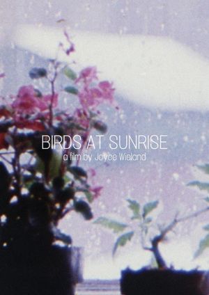 Birds at Sunrise's poster