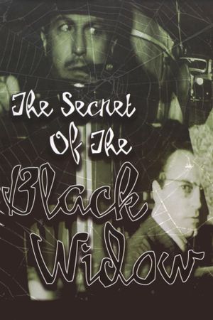 The Secret of the Black Widow's poster