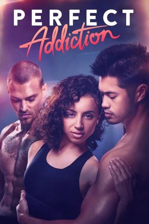 Perfect Addiction's poster