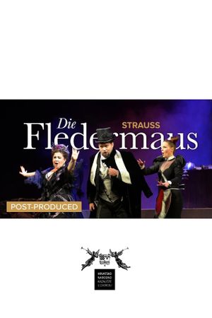 Die Fledermaus - CNT's poster