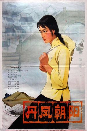 Dan feng chao yang's poster