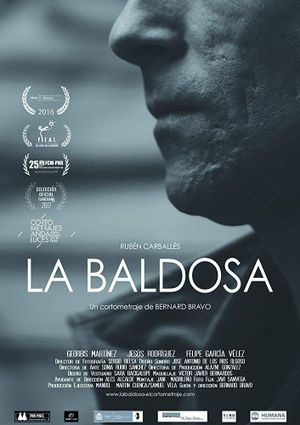 La baldosa's poster