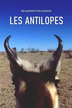 Antelopes's poster