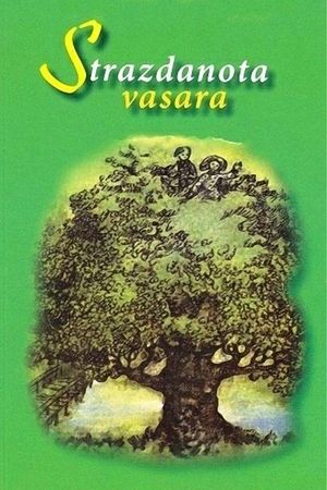 Strazdanota vasara's poster