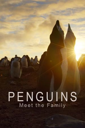 Penguins: Meet the Family's poster