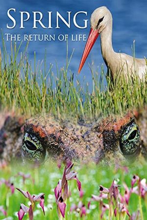 Spring: The Return of Life's poster