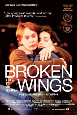 Broken Wings's poster