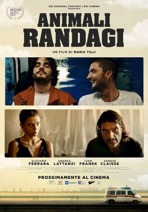 Animali randagi's poster