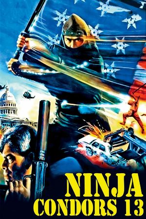 Ninja Condor 13's poster