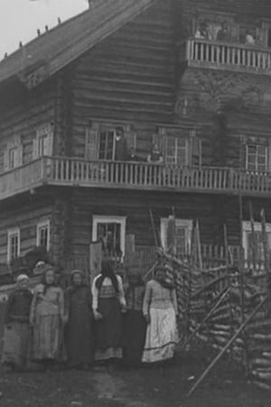 Wedding in Poetic Karjala's poster
