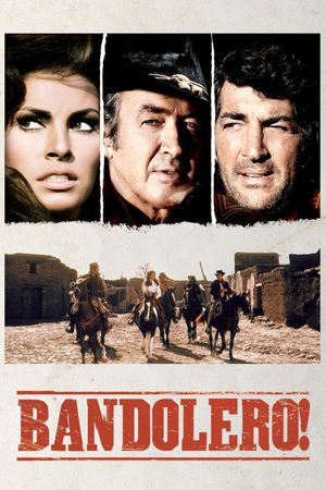Bandolero!'s poster