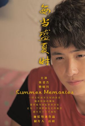 每当盛夏时's poster