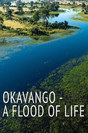 Okavango: A Flood of Life's poster