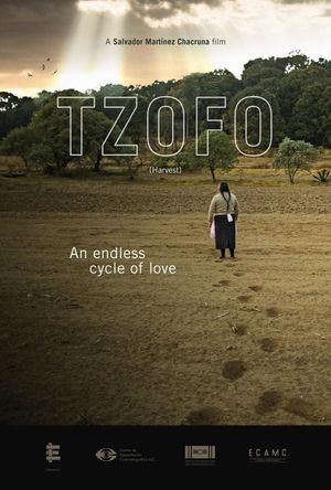 Tzofo's poster