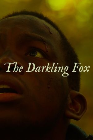 The Darkling Fox's poster