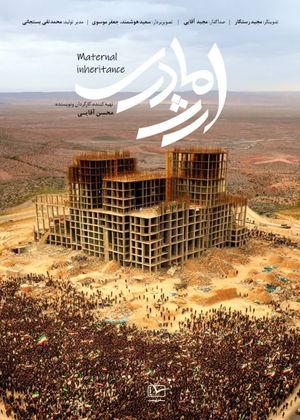 Maternal Inheritance's poster