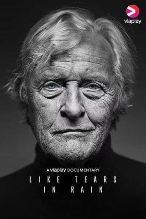 Like Tears in Rain's poster