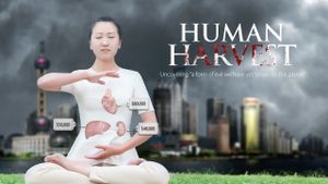 Human Harvest's poster