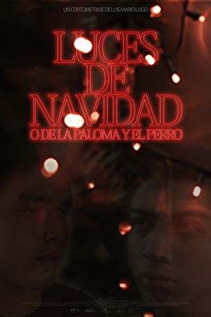 Luces de navidad o de la paloma y el perro's poster