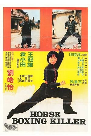 Nu Shao Lin si's poster