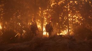 Only the Brave's poster