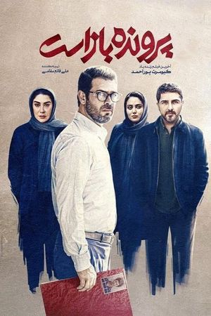 The Case Is Open's poster
