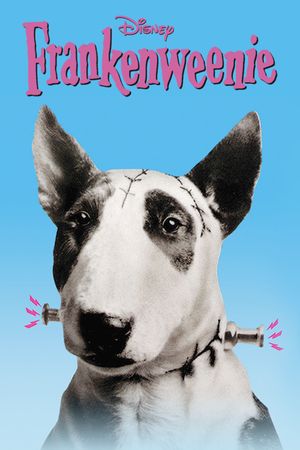 Frankenweenie's poster