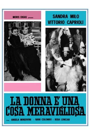 Woman Is a Wonderful Thing's poster