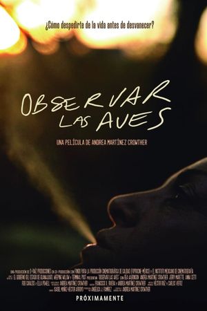 Observar las aves's poster