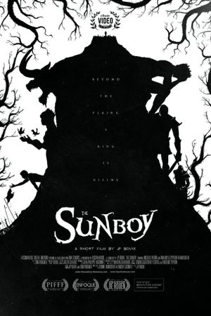 The Sunboy's poster