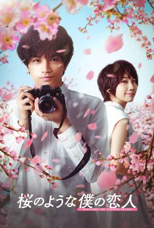 Love Like the Falling Petals's poster