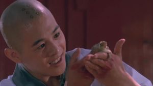Martial Arts of Shaolin's poster