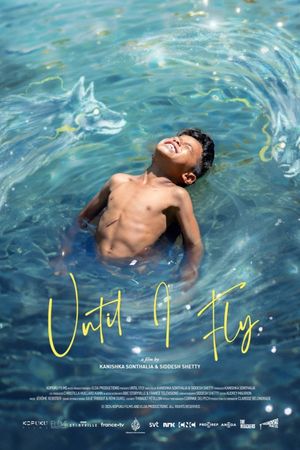 Until I Fly's poster