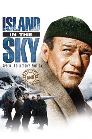 Island in the Sky's poster
