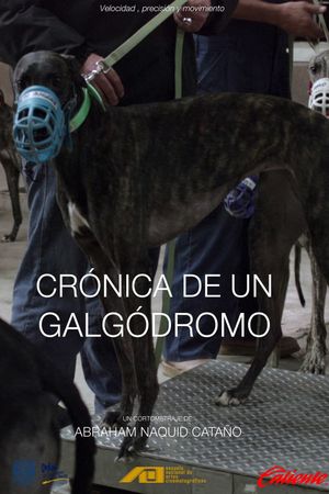 Crónica de un galgódromo's poster image