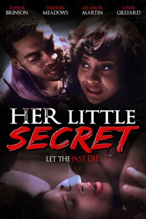 Her Little Secret's poster