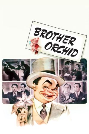 Brother Orchid's poster