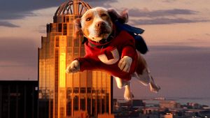 Underdog's poster