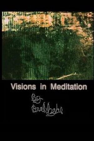 Visions in Meditation's poster
