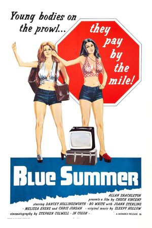 Blue Summer's poster