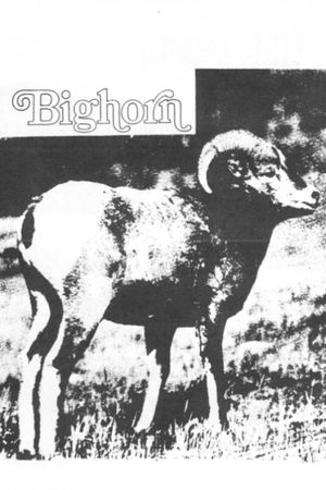 Big Horn's poster