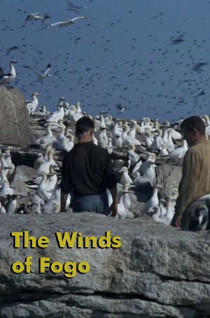 The Winds of Fogo's poster