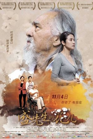 The Song of Cotton's poster