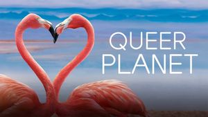 Queer Planet's poster