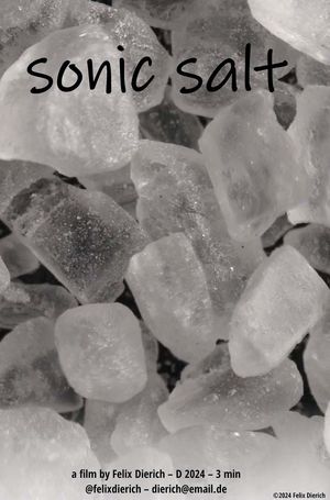 sonic salt's poster image