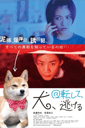 Dog Turns and Runs Away's poster