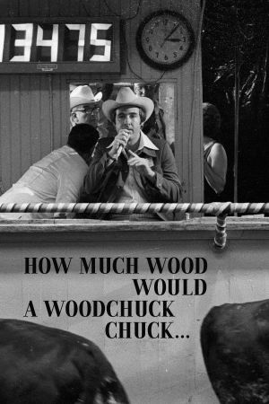 How Much Wood Would a Woodchuck Chuck's poster