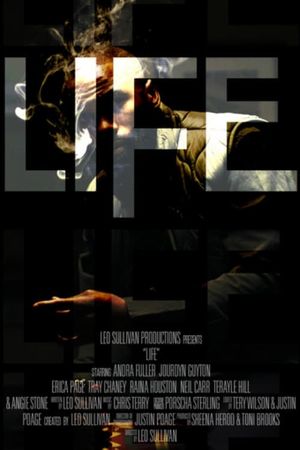 Life Without Hope's poster