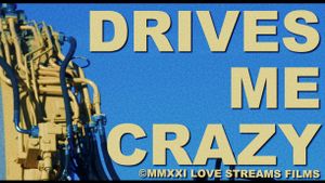 Drives Me Crazy's poster