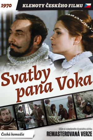 Svatby pana Voka's poster